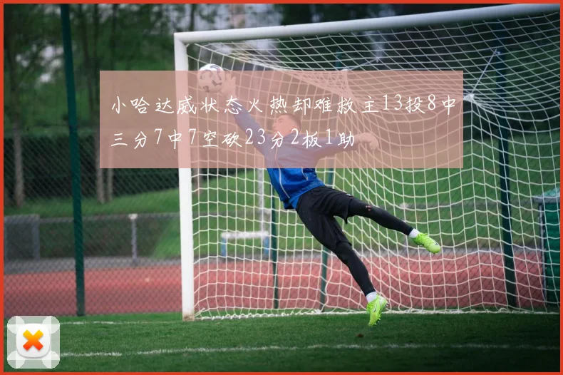 小哈达威状态火热却难救主13投8中三分7中7空砍23分2板1助